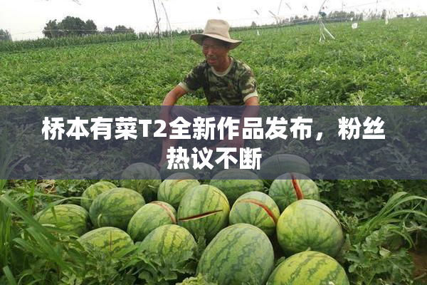 桥本有菜T2全新作品发布，粉丝热议不断