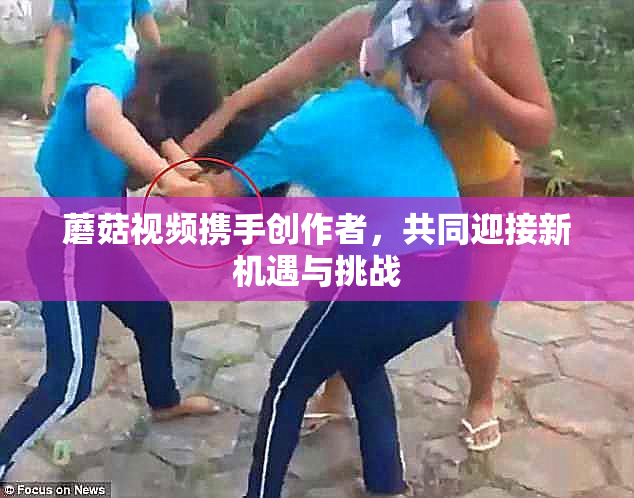 蘑菇视频携手创作者，共同迎接新机遇与挑战