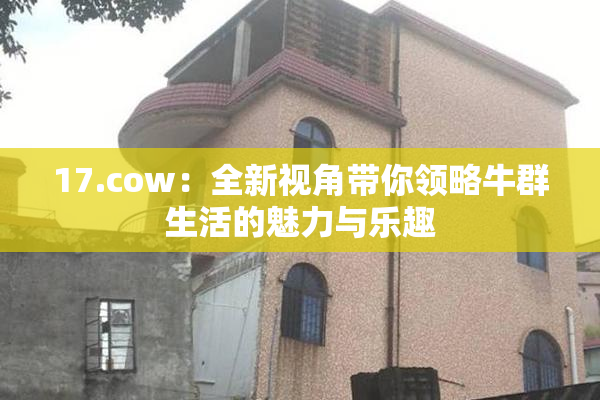 17.cow：全新视角带你领略牛群生活的魅力与乐趣