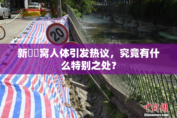 新妺妺窝人体引发热议，究竟有什么特别之处？