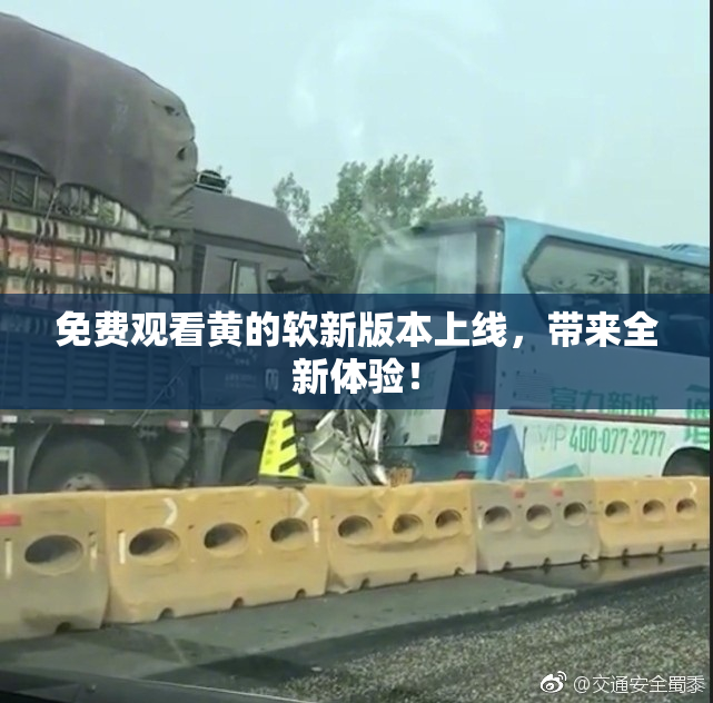 免费观看黄的软新版本上线，带来全新体验！