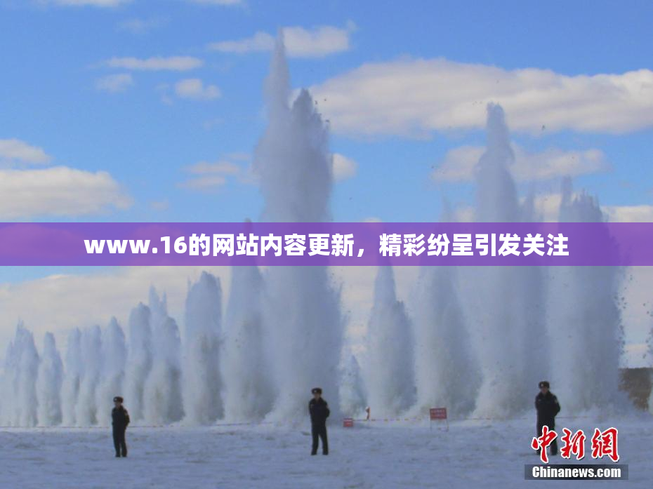 www.16的网站内容更新，精彩纷呈引发关注