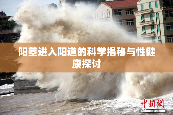 阳茎进入阳道的科学揭秘与性健康探讨