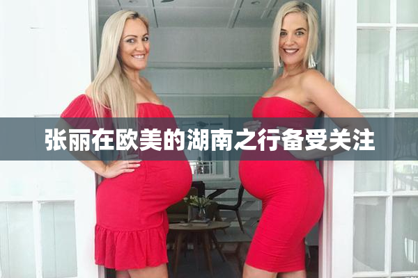 张丽在欧美的湖南之行备受关注