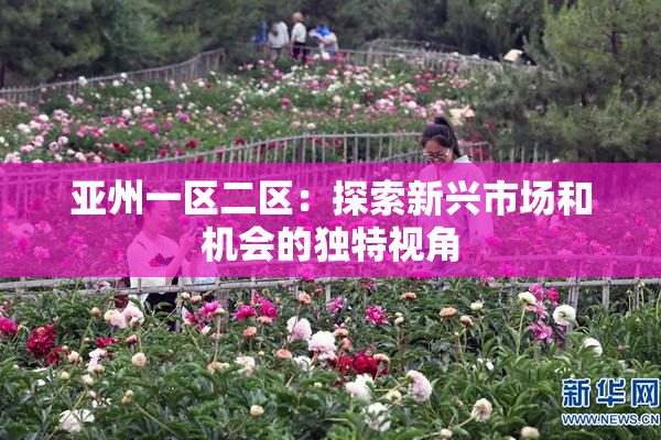 亚州一区二区：探索新兴市场和机会的独特视角
