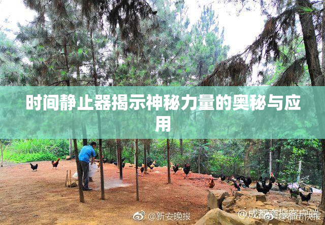 时间静止器揭示神秘力量的奥秘与应用
