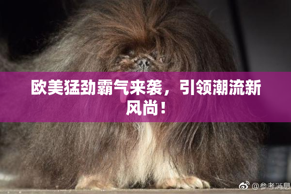 欧美猛劲霸气来袭，引领潮流新风尚！