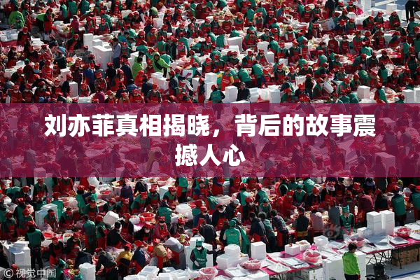 刘亦菲真相揭晓，背后的故事震撼人心