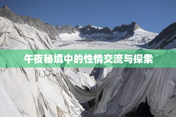 午夜秘境中的性情交流与探索