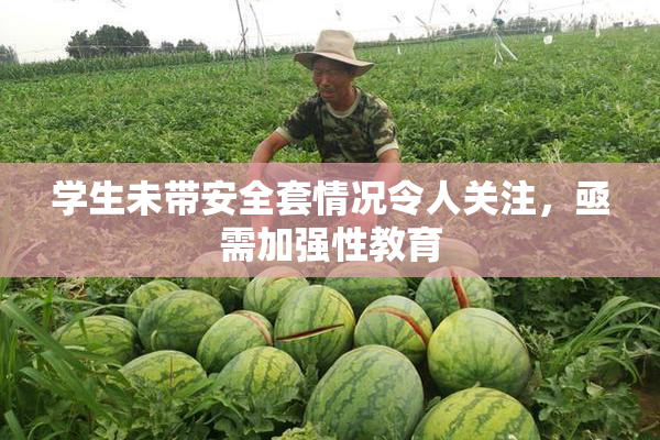 学生未带安全套情况令人关注，亟需加强性教育