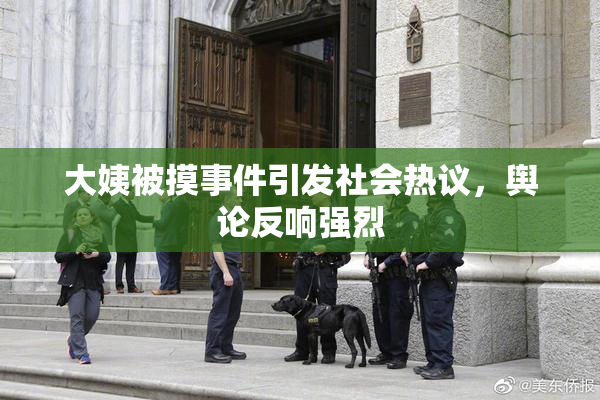 大姨被摸事件引发社会热议，舆论反响强烈