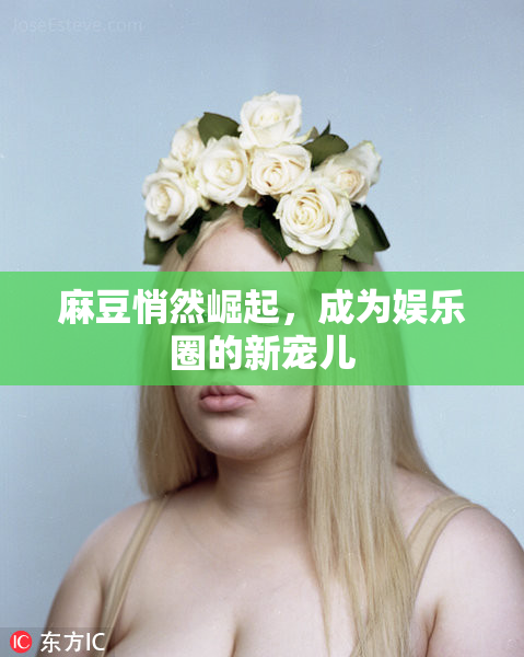 麻豆悄然崛起，成为娱乐圈的新宠儿