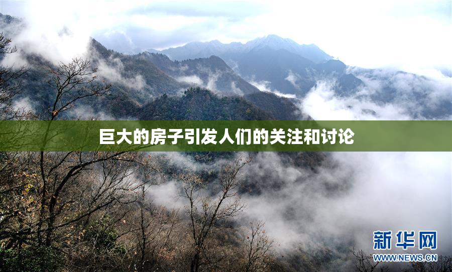巨大的房子引发人们的关注和讨论