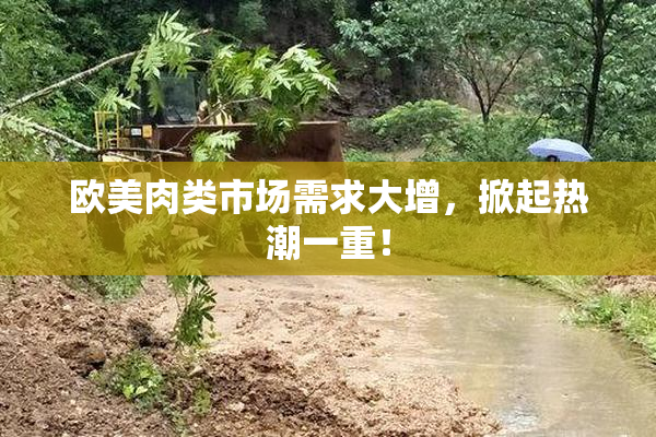 欧美肉类市场需求大增，掀起热潮一重！