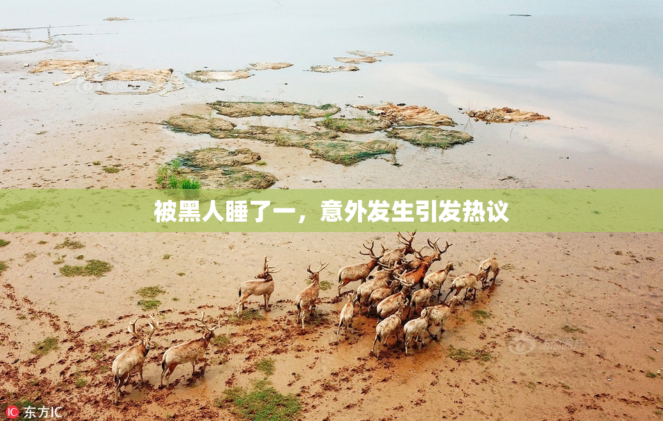 被黑人睡了一，意外发生引发热议