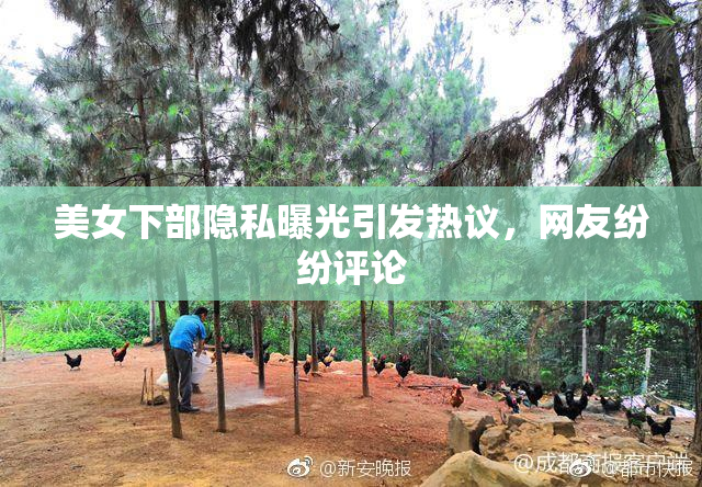 美女下部隐私曝光引发热议，网友纷纷评论