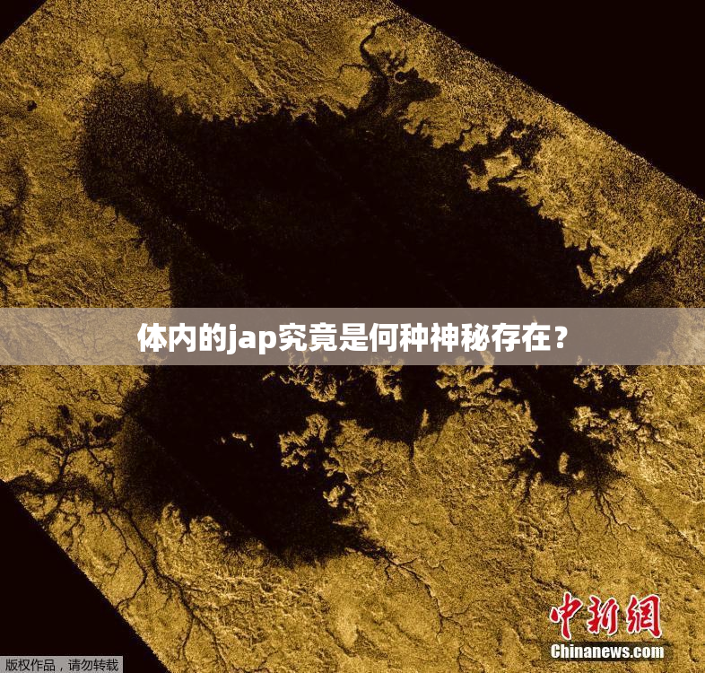 体内的jap究竟是何种神秘存在？