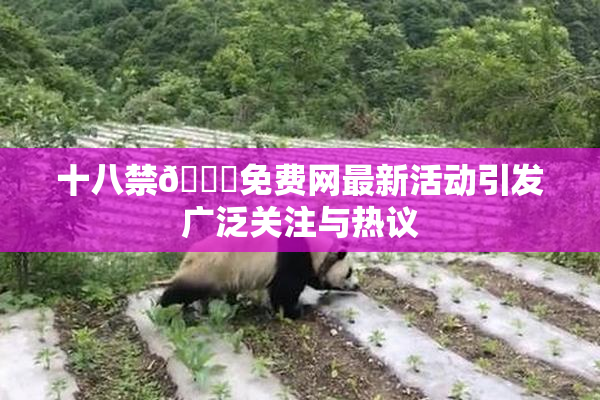 十八禁🔞免费网最新活动引发广泛关注与热议