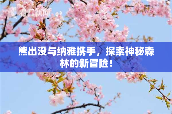 熊出没与纳雅携手，探索神秘森林的新冒险！