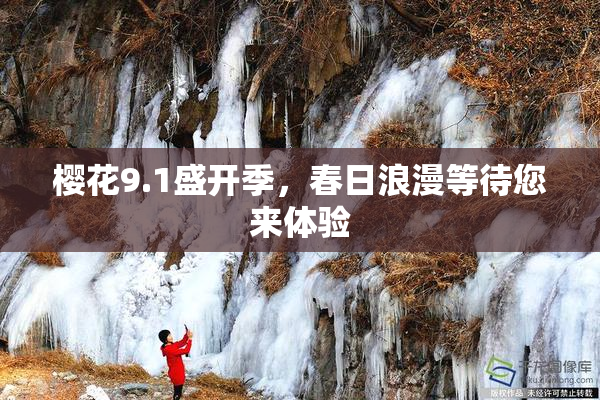 樱花9.1盛开季，春日浪漫等待您来体验