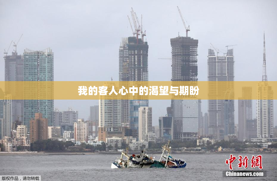 我的客人心中的渴望与期盼