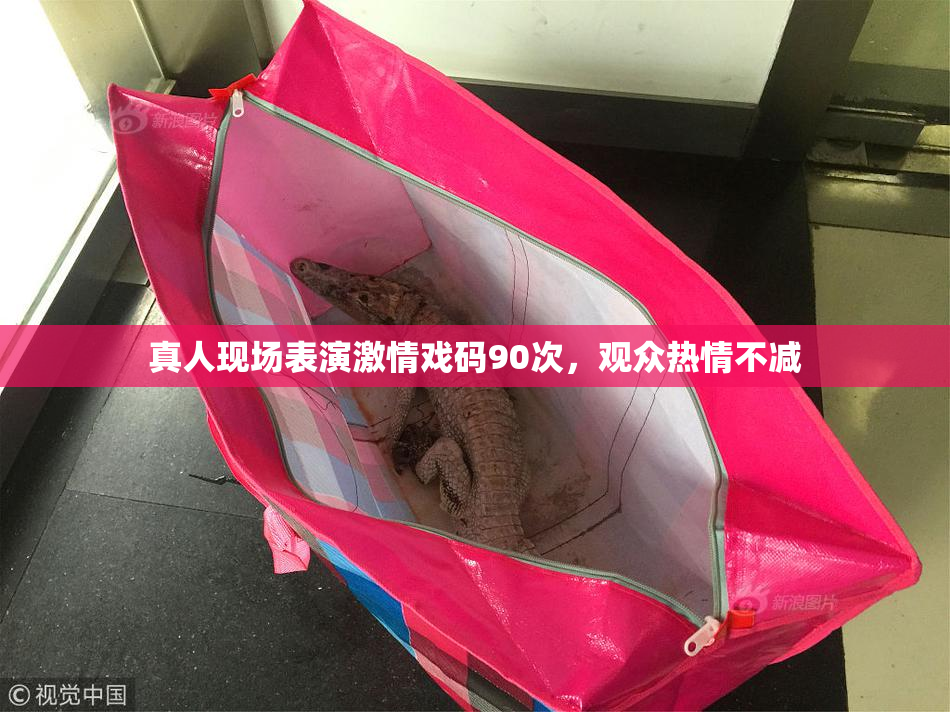 真人现场表演激情戏码90次，观众热情不减