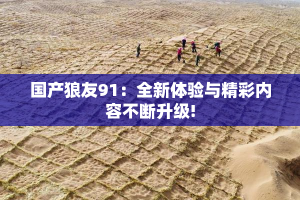国产狼友91：全新体验与精彩内容不断升级!