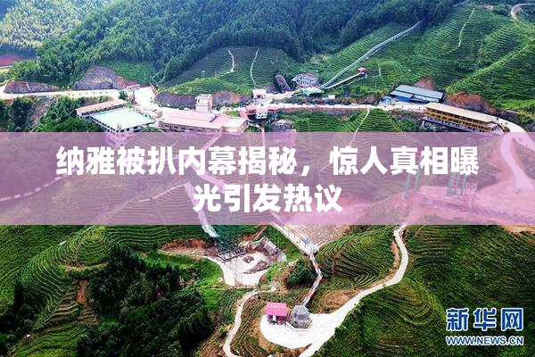 纳雅被扒内幕揭秘，惊人真相曝光引发热议