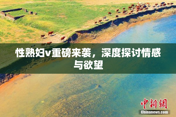 性熟妇v重磅来袭，深度探讨情感与欲望