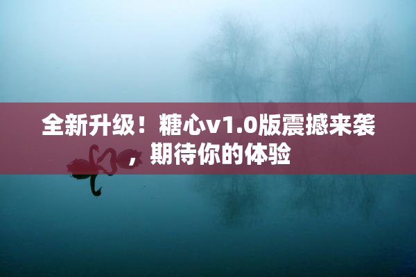全新升级！糖心v1.0版震撼来袭，期待你的体验
