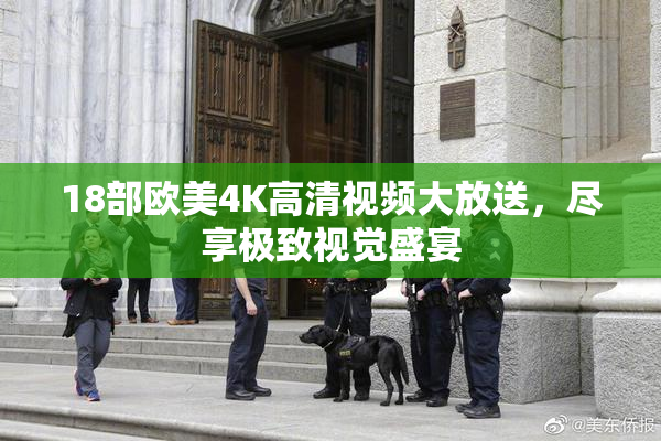 18部欧美4K高清视频大放送，尽享极致视觉盛宴