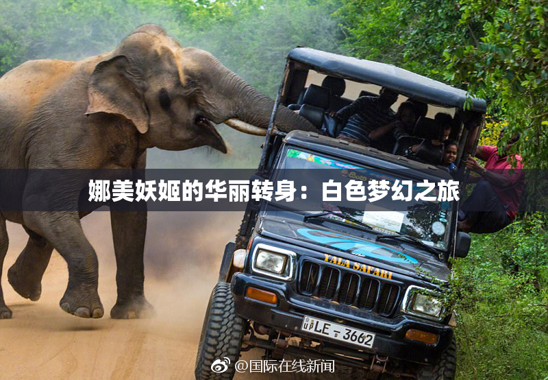 娜美妖姬的华丽转身：白色梦幻之旅
