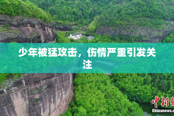 少年被猛攻击，伤情严重引发关注