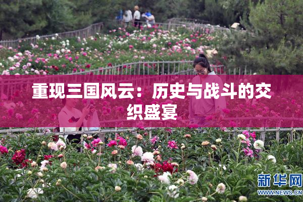 重现三国风云：历史与战斗的交织盛宴
