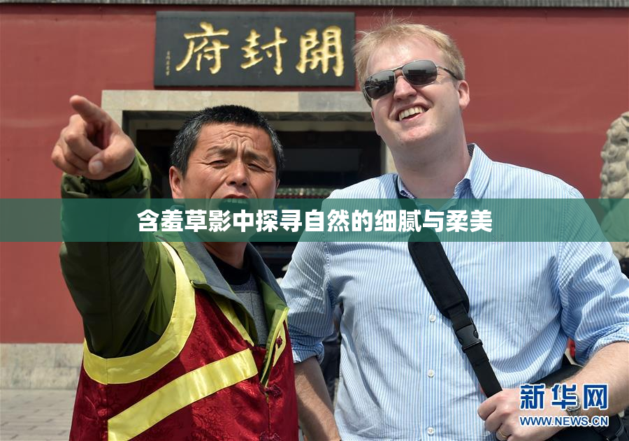含羞草影中探寻自然的细腻与柔美