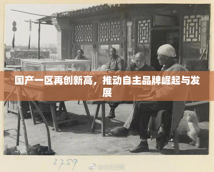 国产一区再创新高，推动自主品牌崛起与发展