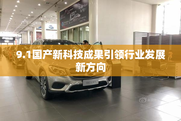 9.1国产新科技成果引领行业发展新方向