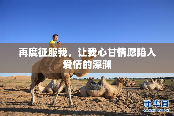 再度征服我，让我心甘情愿陷入爱情的深渊