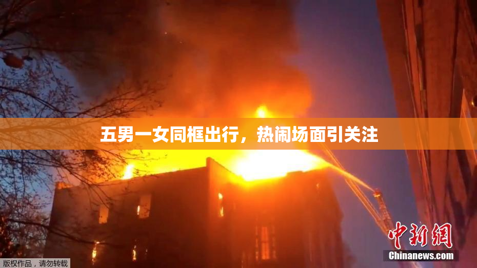 五男一女同框出行，热闹场面引关注