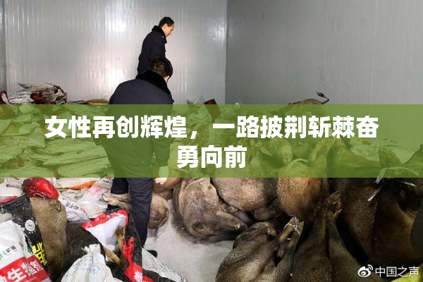 女性再创辉煌，一路披荆斩棘奋勇向前