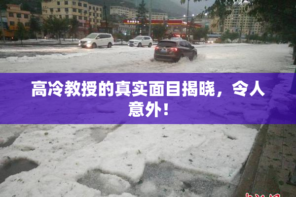 高冷教授的真实面目揭晓，令人意外！