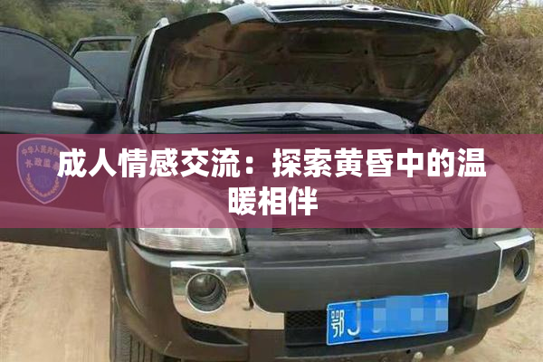 成人情感交流：探索黄昏中的温暖相伴