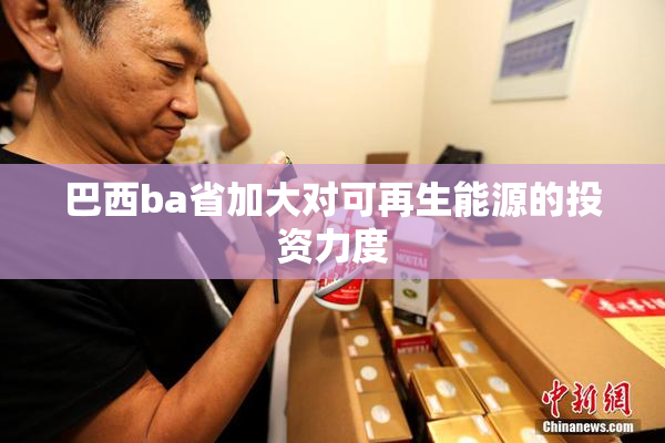 巴西ba省加大对可再生能源的投资力度