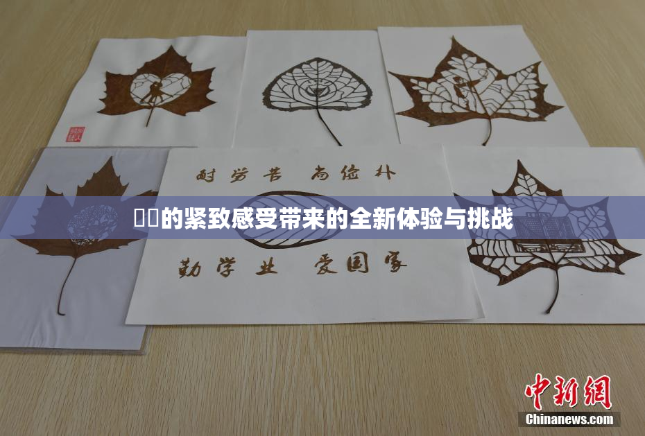 妺妺的紧致感受带来的全新体验与挑战