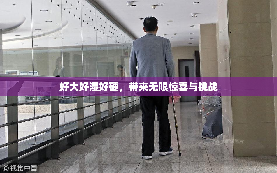 好大好湿好硬，带来无限惊喜与挑战