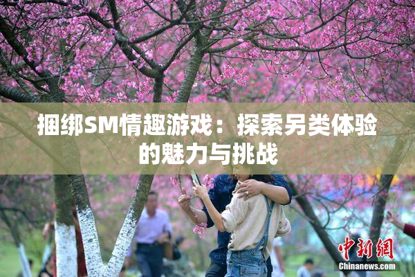 捆绑SM情趣游戏：探索另类体验的魅力与挑战