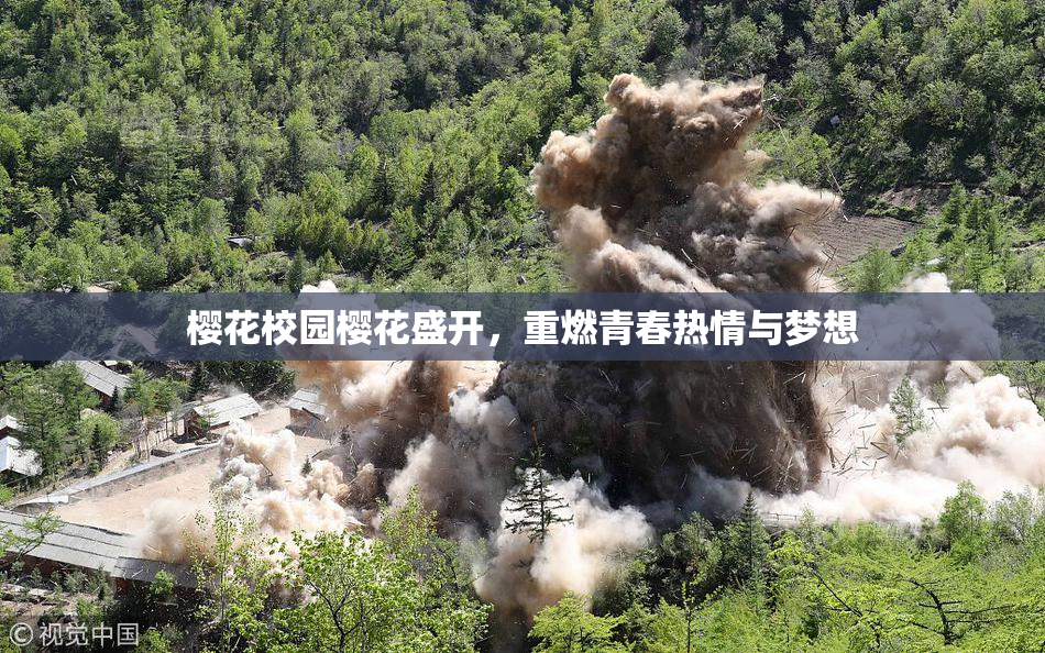 樱花校园樱花盛开，重燃青春热情与梦想
