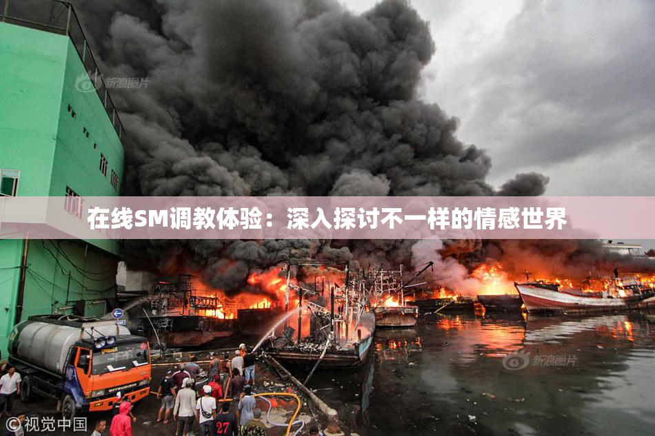 在线SM调教体验：深入探讨不一样的情感世界