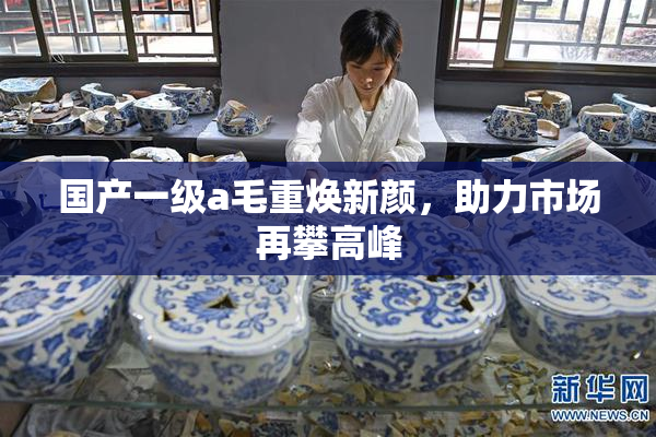 国产一级a毛重焕新颜，助力市场再攀高峰