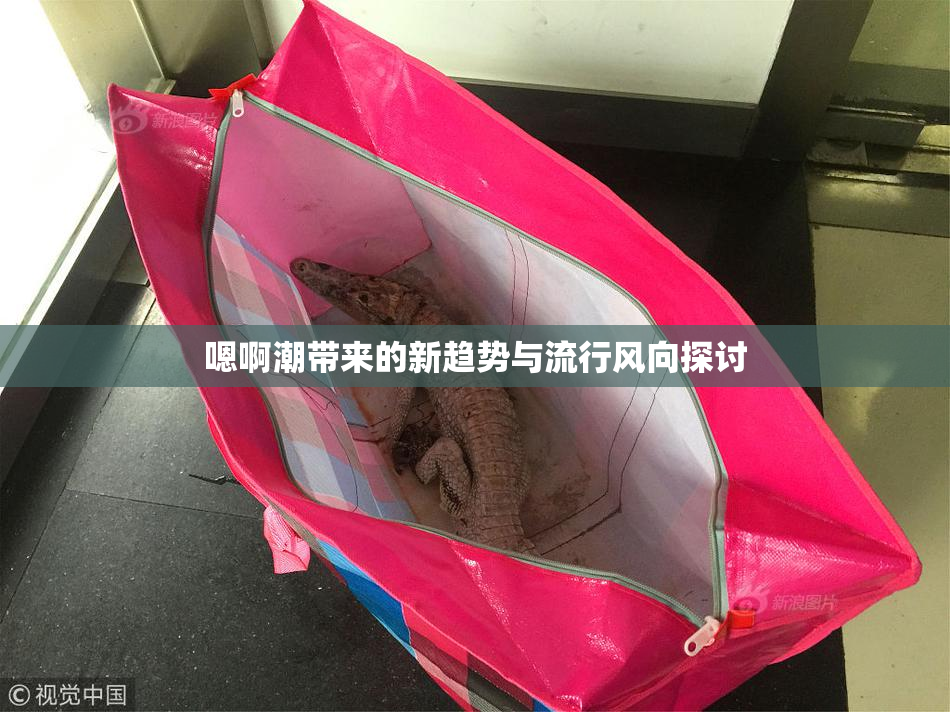 嗯啊潮带来的新趋势与流行风向探讨